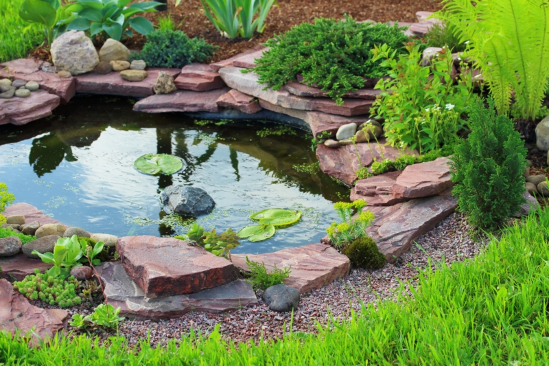 Pond-and-Waterfall-Installation-Mercer-Island-WA