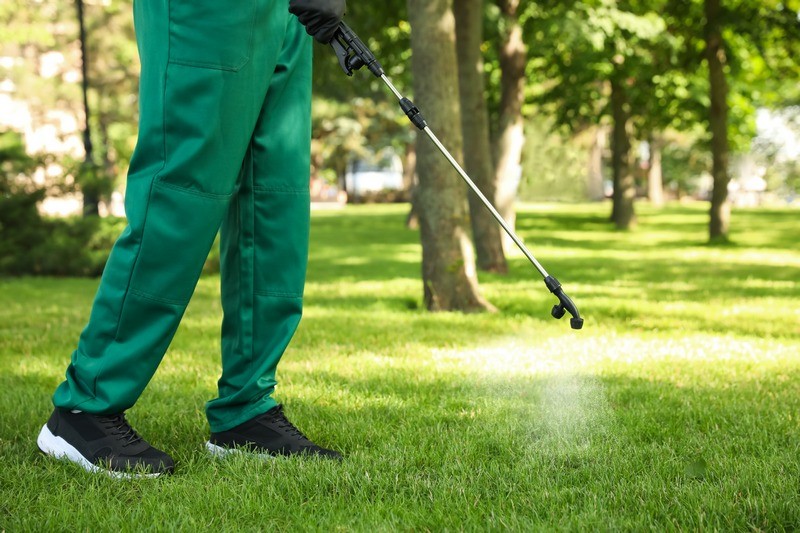 Lawn-Treatment-Browns-Point-WA