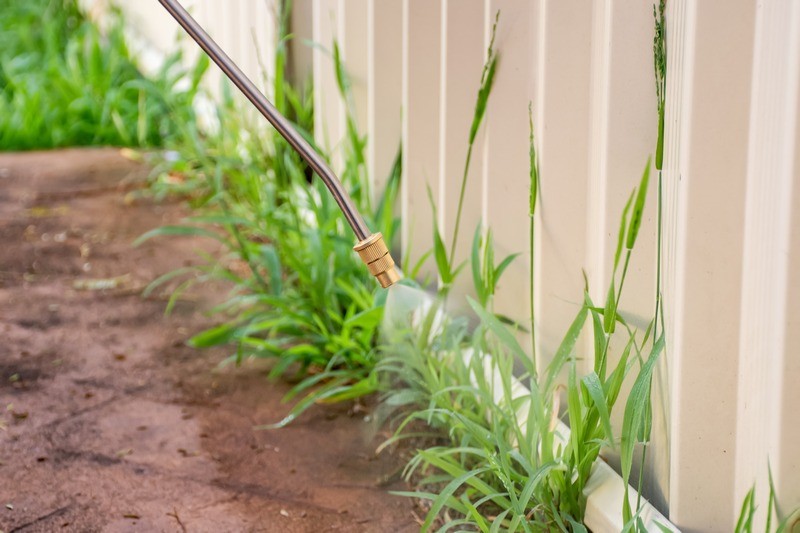 Weed-Control-Des-Moines-WA