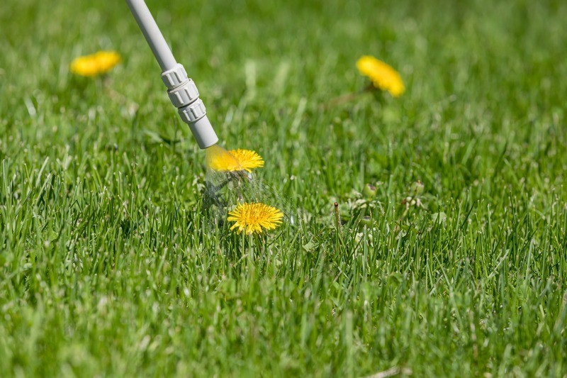 Lawn-Treatment-Service-North-Tacoma-WA