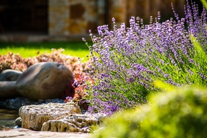 Professional SeaTac landscape designer in WA near 98188
