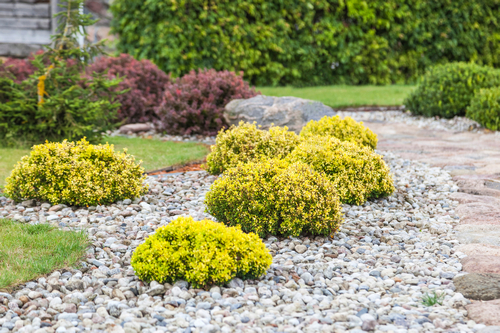 Outstanding Maple Valley commercial landscaping in WA near 98038