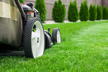 Schedule Lakeland Hills lawn maintenance with us in WA near 98391