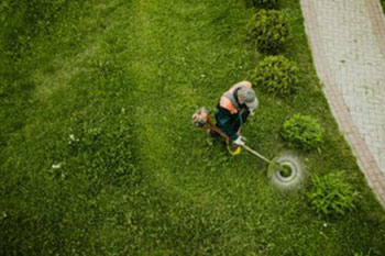 Exceptional Lakeland Hills lawn maintenance service in WA near 98391