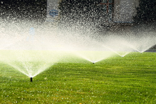 Affordable Bonney Lake sprinkler system in WA near 98391