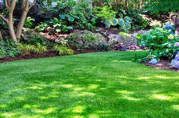 Outstanding North Tacoma lawn care in WA near 98403
