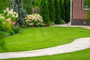 Exceptional Sumner lawn maintenance service in WA near 98390