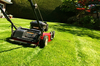 Affordable Sumner lawn maintenance in WA near 98390