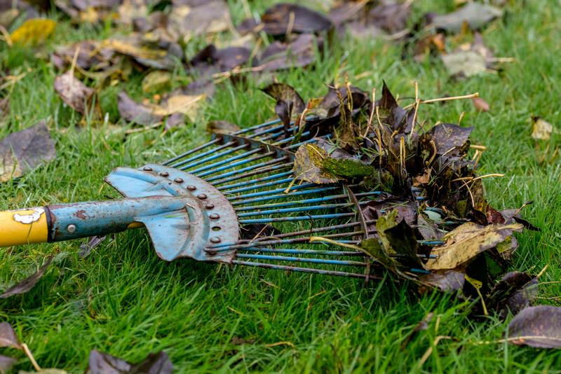 Debris-Removal-Renton-WA