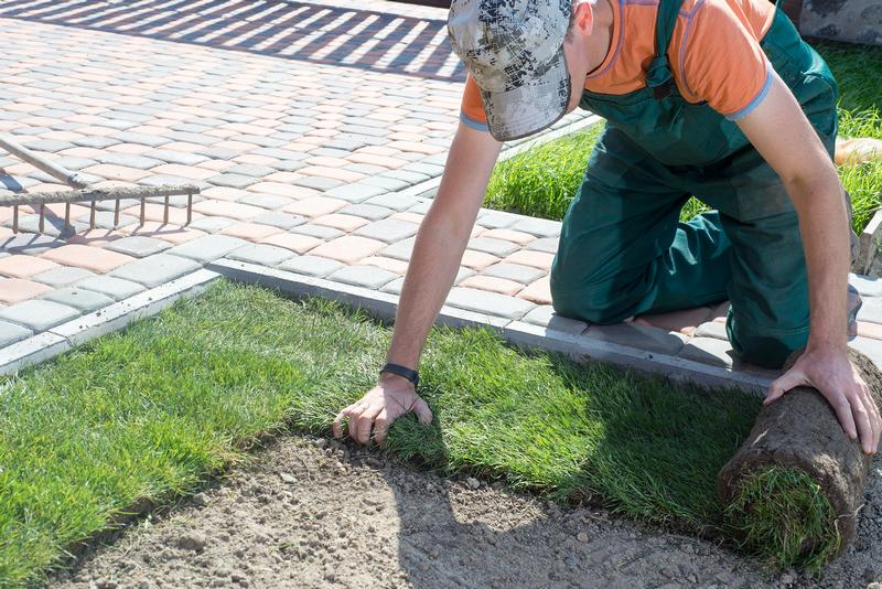 Installing-Sod-Renton-WA