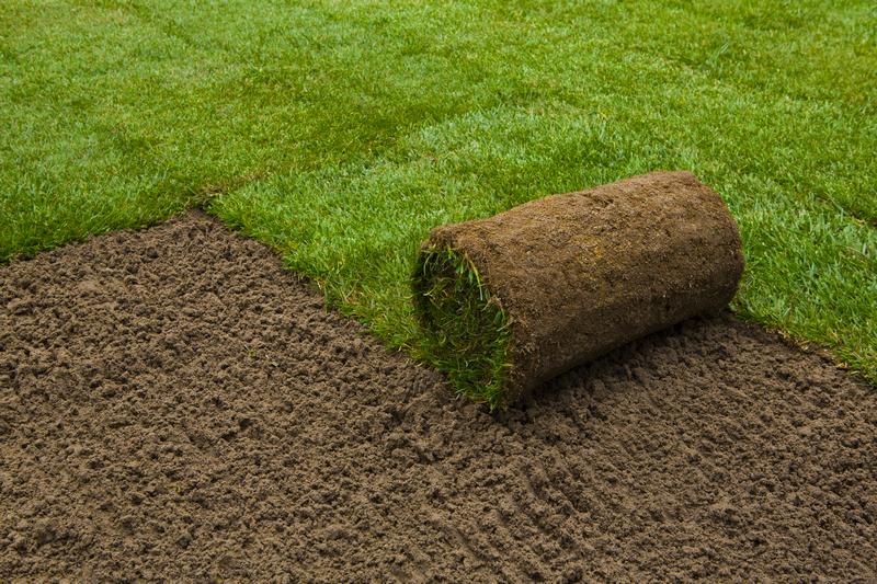 Sod-Installation-Renton-WA