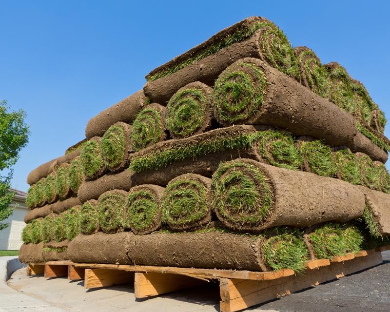Sod-Renton-WA