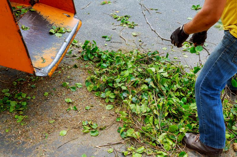 Yard-Waste-Removal-Renton-WA