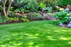 Prevent soil erosion with Ravensdale hydroseeding in WA near 98038