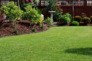 Cost-effective Ravensdale lawn hydroseeding in WA near 98038
