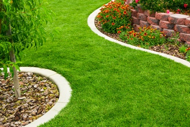 Leading Buckley landscape design team in WA near 98335