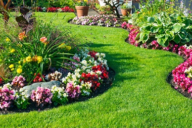 Leading Dash Point landscape design team in WA near 98422