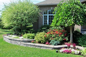 Leading Medina landscape design team in WA near 98039