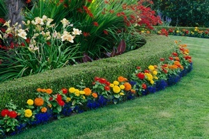 Local Dash Point landscape designer in WA near 98422