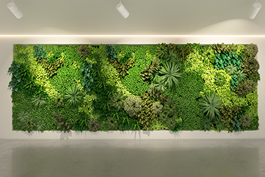 Hobart living wall creations in WA near 98038