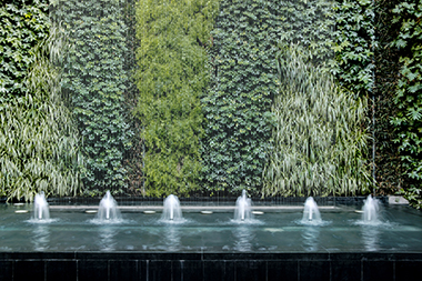 Enumclaw plant wall experts in WA near 98022