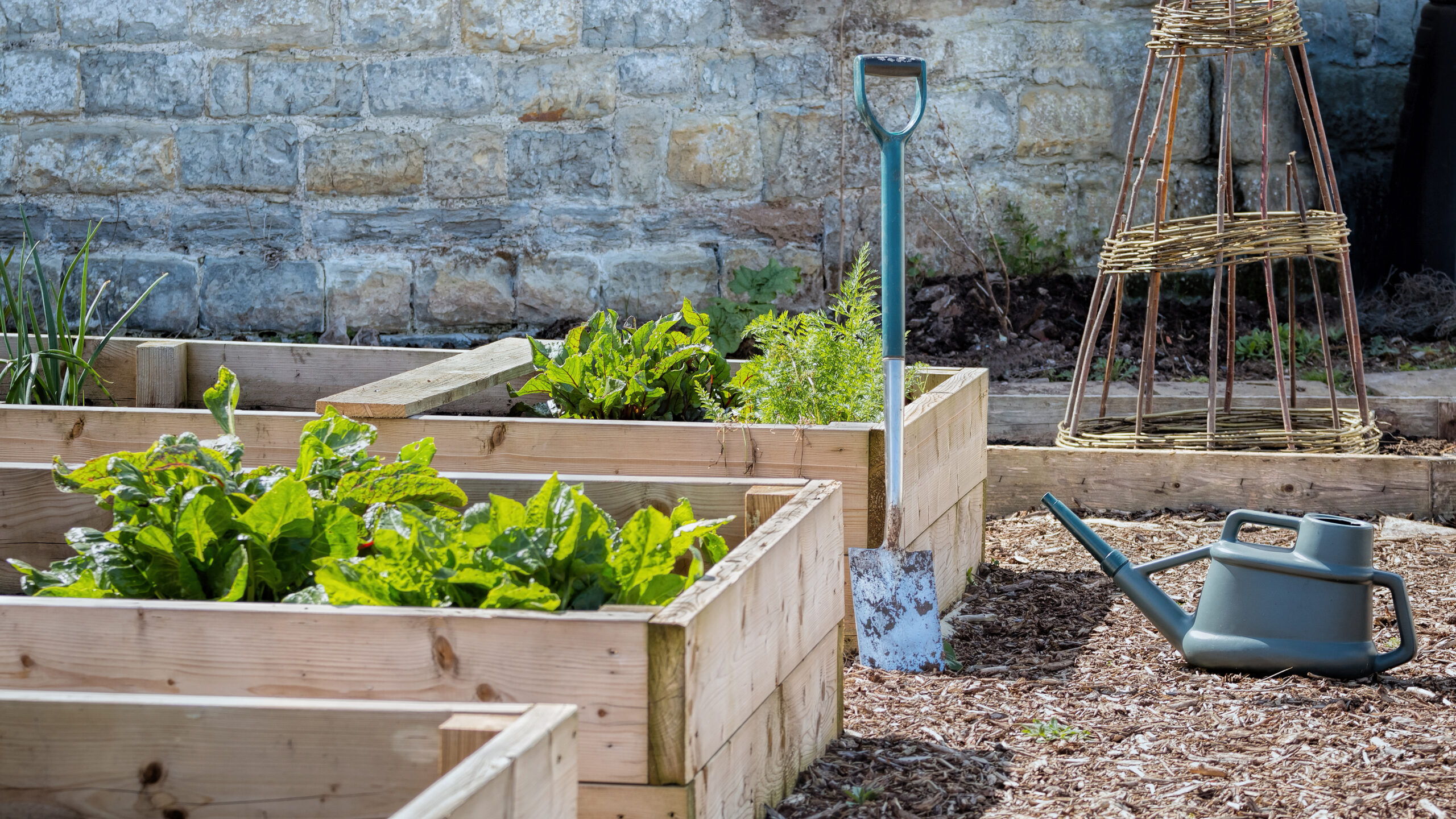 Raised Garden Beds-Ruston-WA