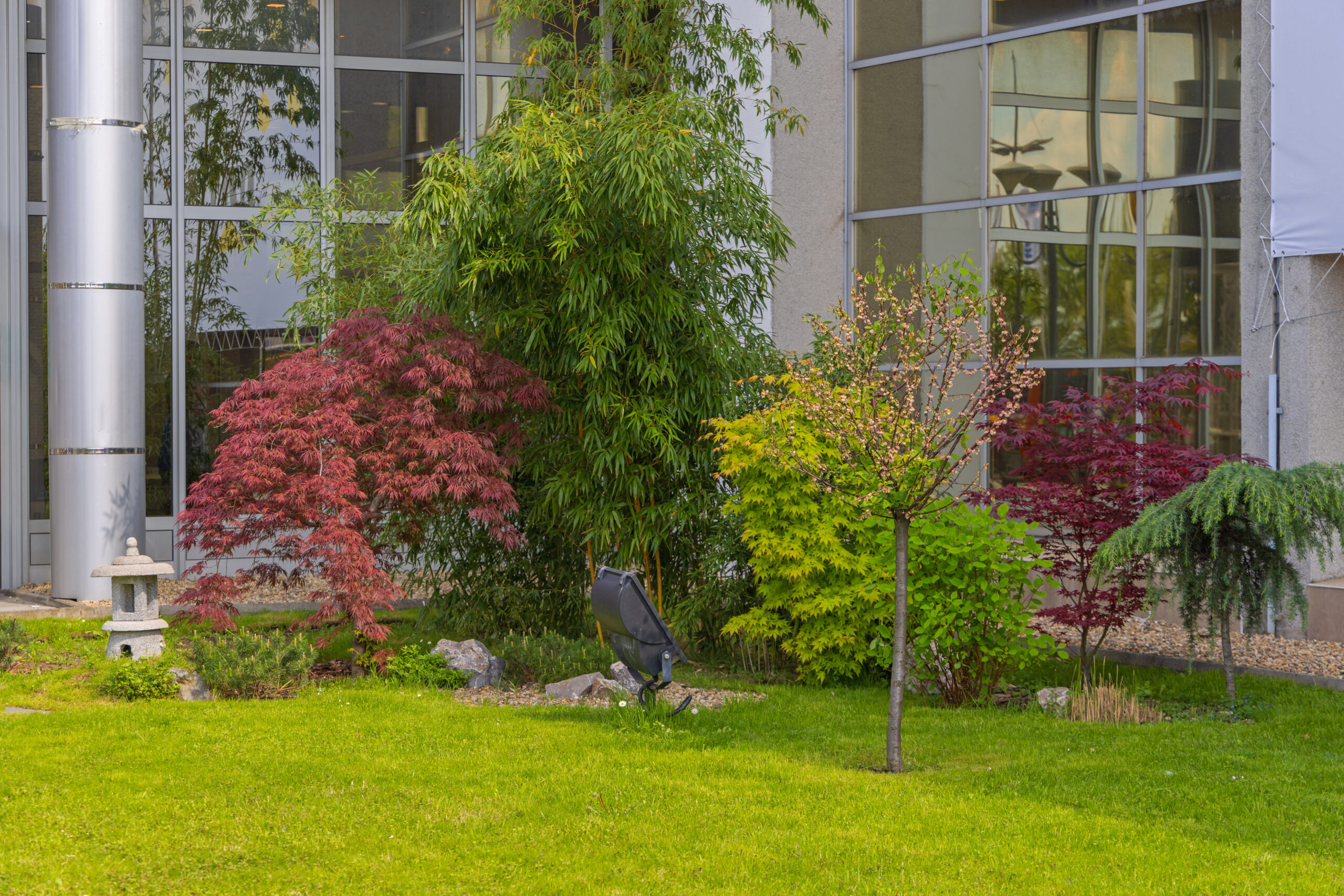 Commercial Landscapers-Enumclaw-WA