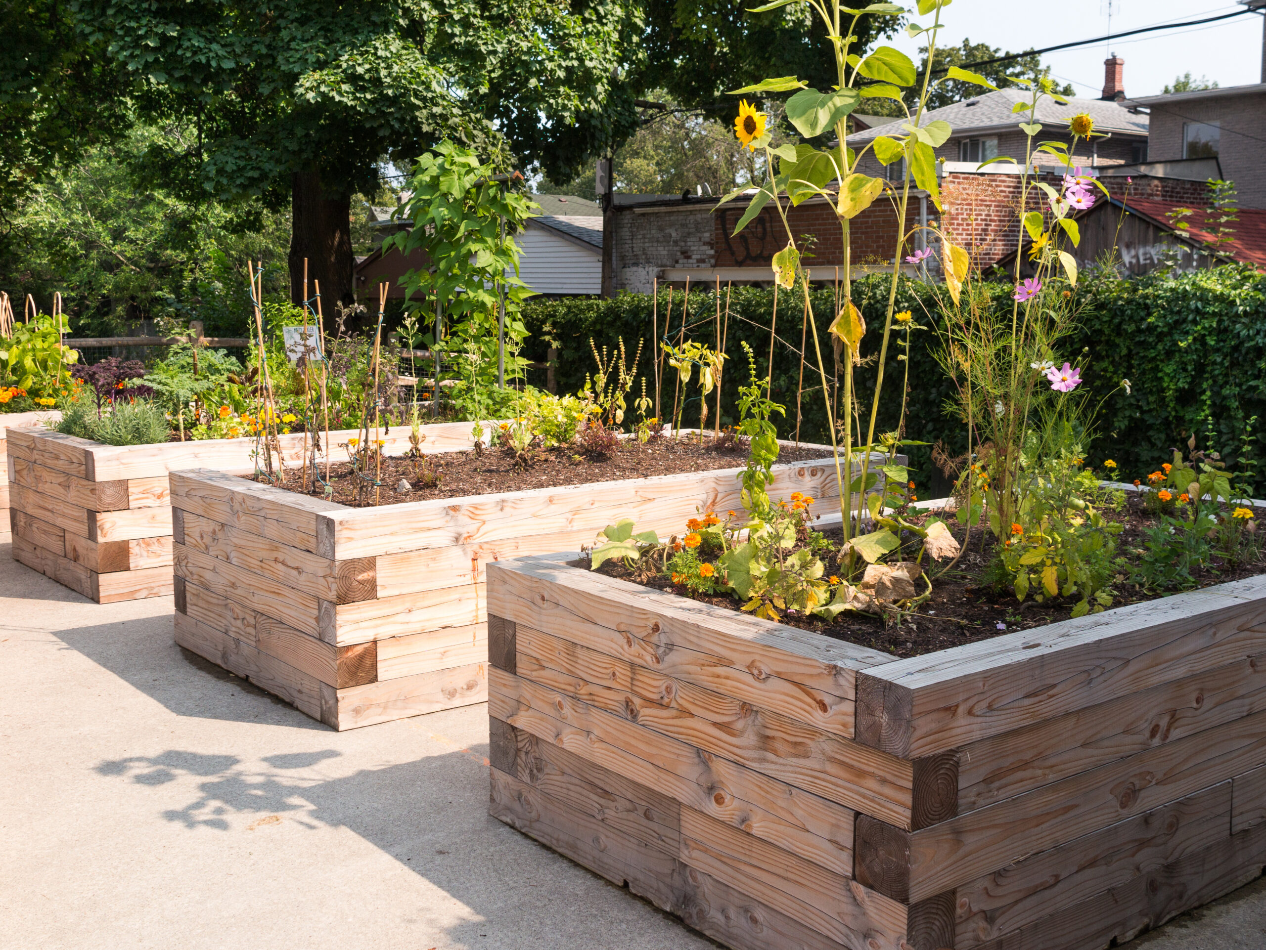 Garden Beds-Ruston-WA